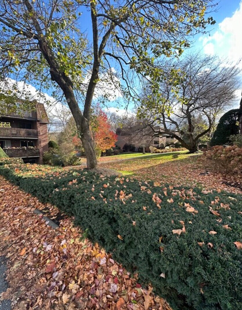 Building Photo - 142 Kenrick St