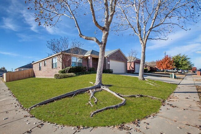 Building Photo - 709 Alder Dr