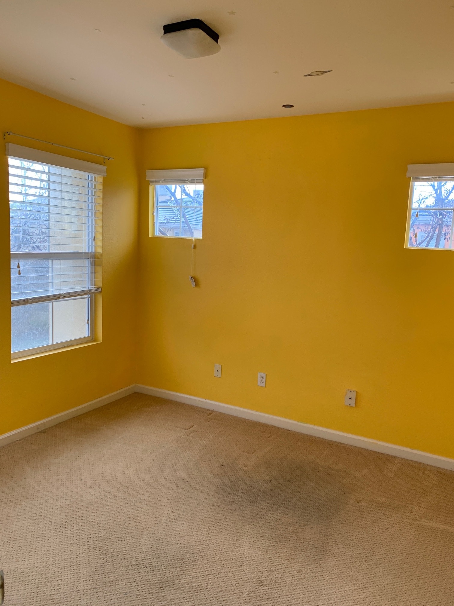 bedroom 3 - 3693 Dickenson Cmn