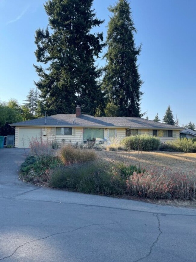 Primary Photo - 3Bd/1.75Ba Shoreline House
