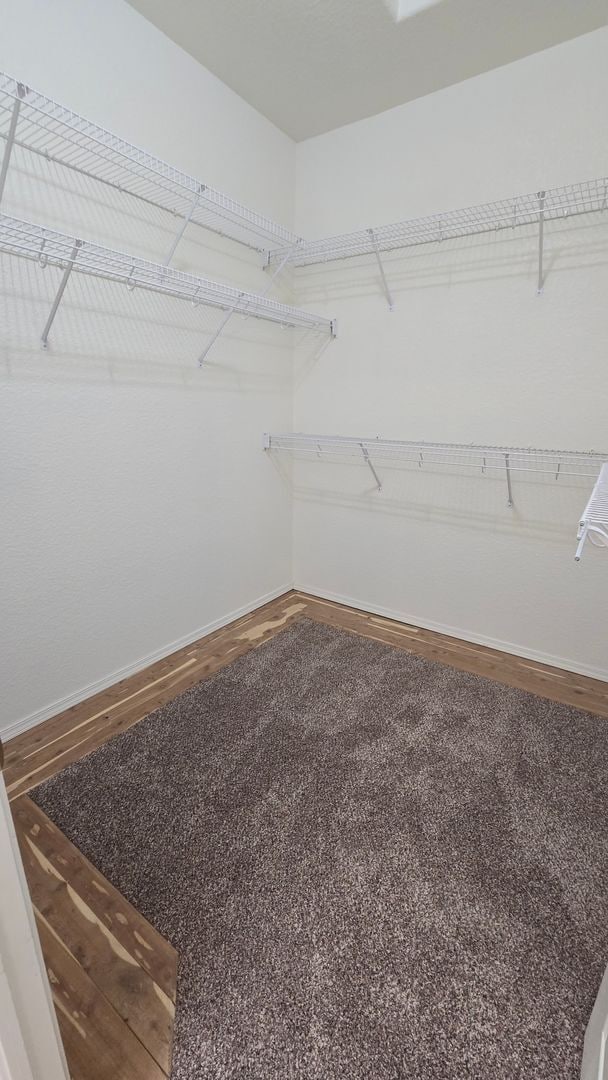 Building Photo - 3263 Apogee View