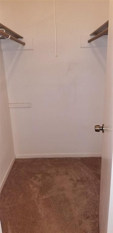 Building Photo - 3007 Glen Ct