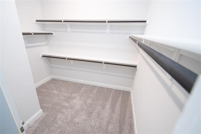 Building Photo - 4124 Wetstone Ln