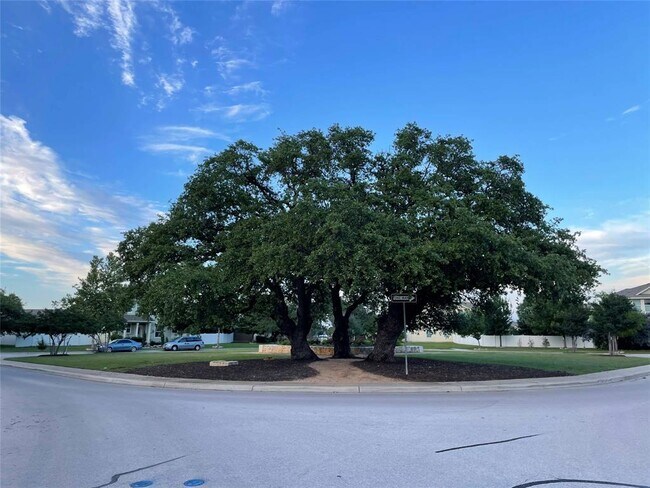 Building Photo - 807 Alamo Plaza Dr