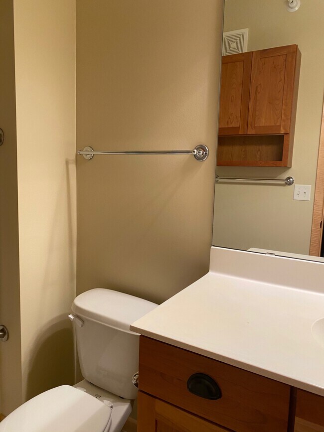 Shower Bathroom - 3251 Louisiana Ave S