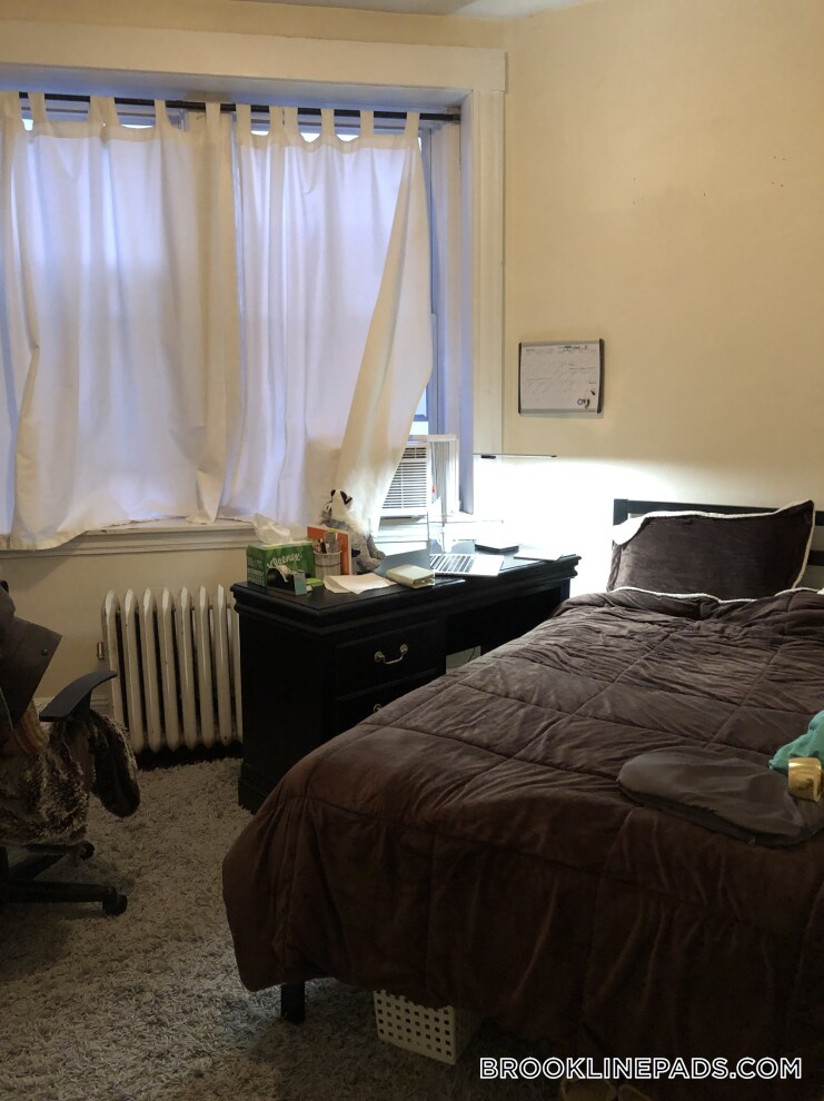 Building Photo - 66 Egmont St