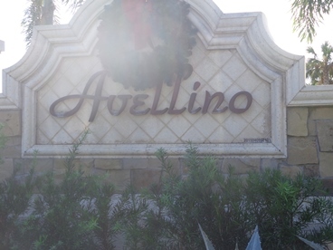 Building Photo - 9533 Avellino Wy