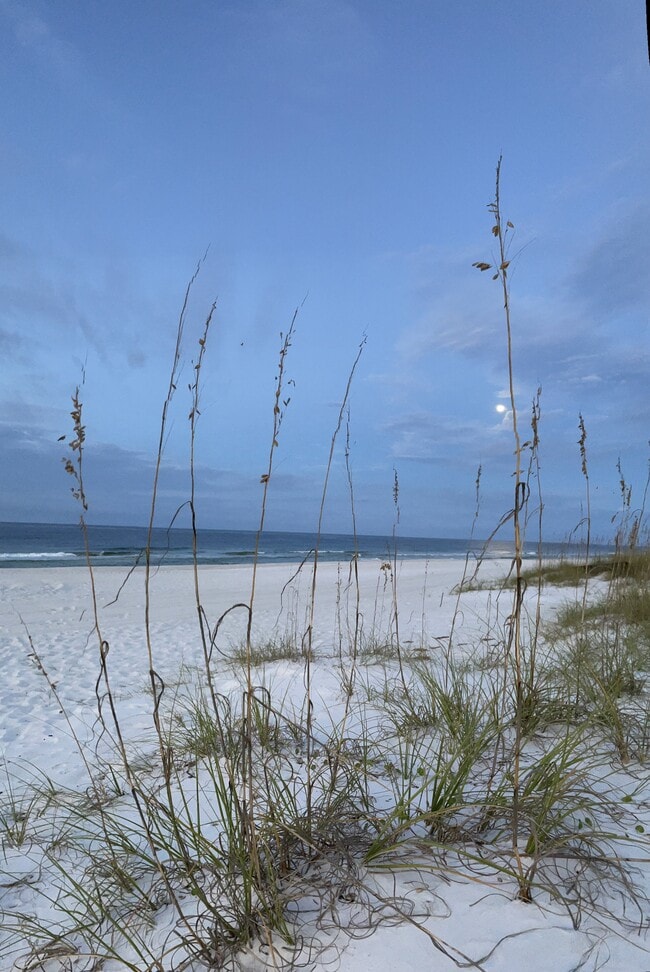 Bid-a-Wee beach - 115 Nautilus St