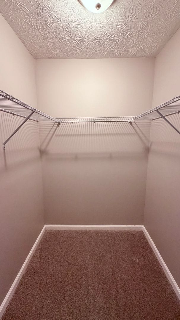 Building Photo - Beautiful Roswell 3 Bedroom-2 Bathroom Ranch, Minutes from 400, Available NOW!