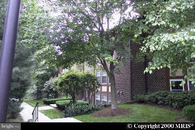 Building Photo - 2211 Woodbox Ln