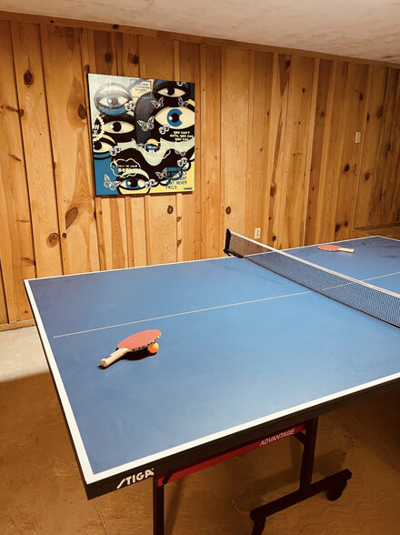 rec room - 3724 Warden Branch Ln