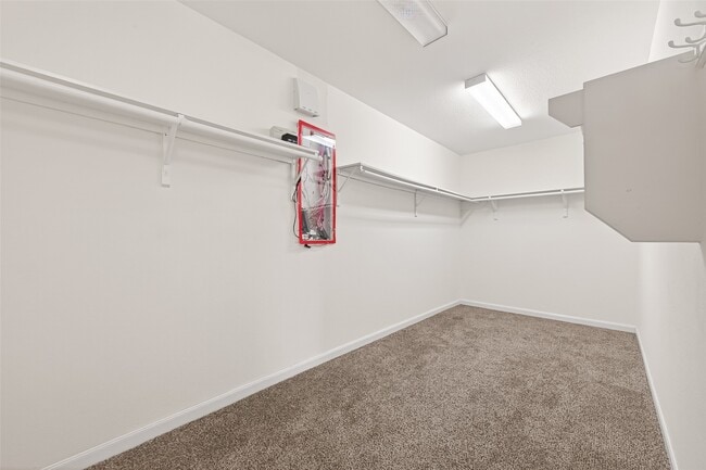 Building Photo - 11006 Jacob Crossing Dr