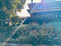 Building Photo - Historical Duplex - Spacious 3 Bedroom, 2.5 Bath Duplex with fenced in private patio.