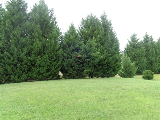 Building Photo - 2545 Thomasson Place Cir