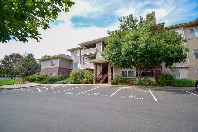 Building Photo - 4545 Wheaton Dr