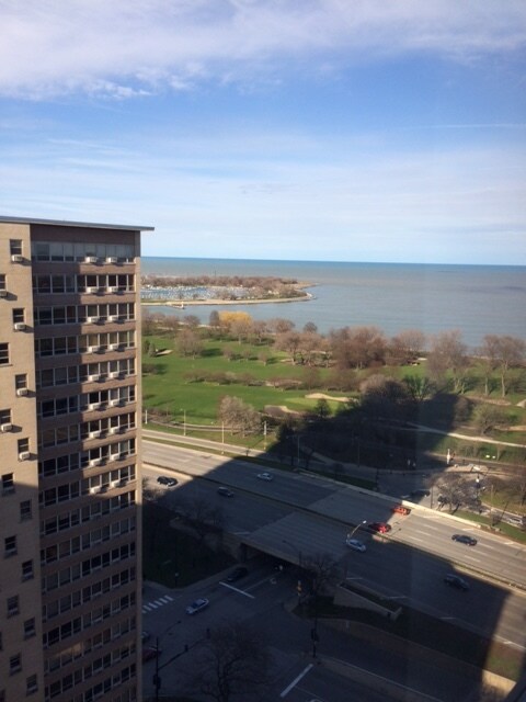 Building Photo - 3950 N Lake Shore Dr