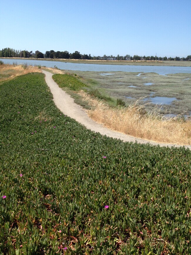 Trails along the bay - 785 Portwalk Plz