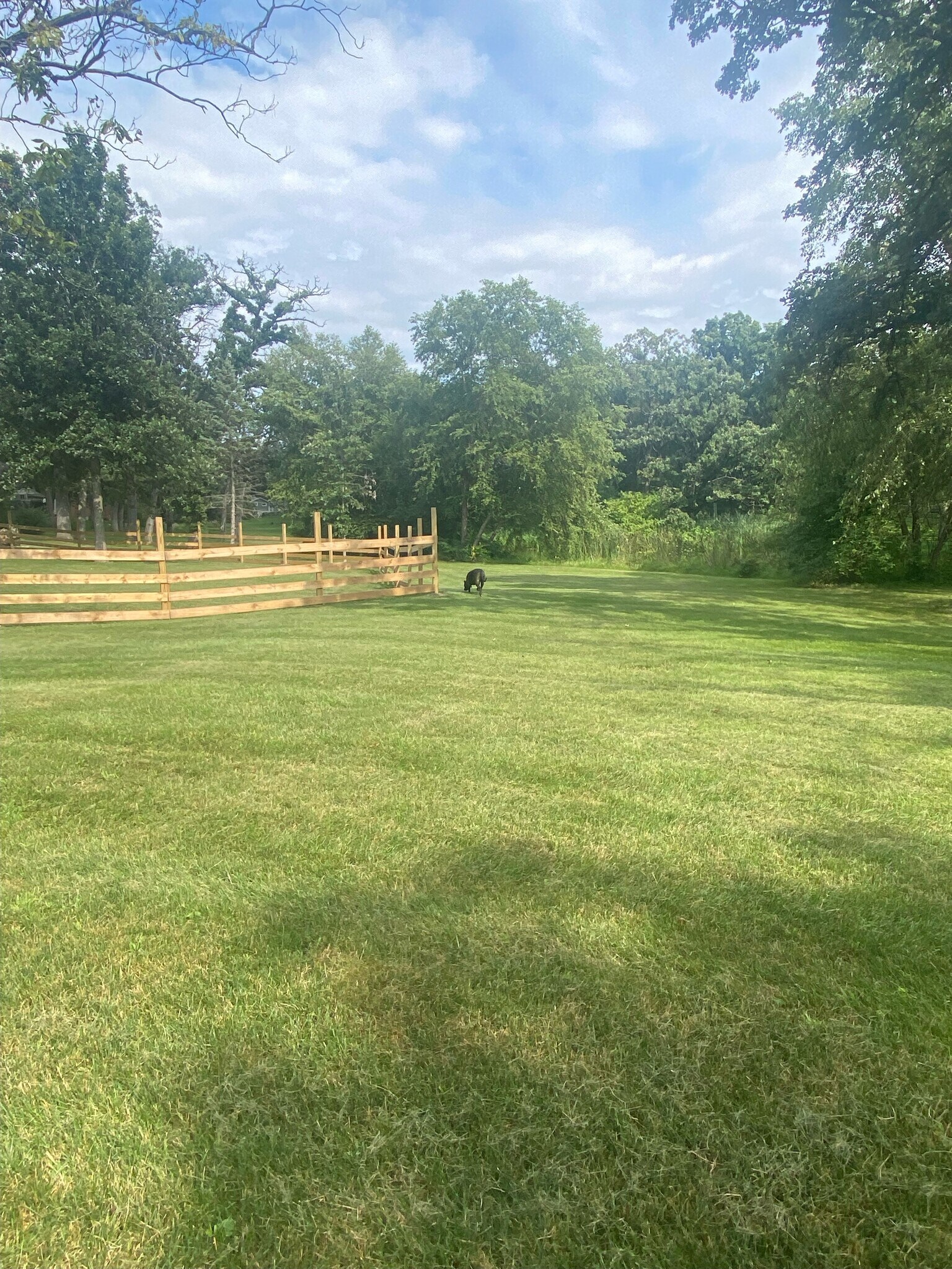 The back of the property, which also includes a large, natural pond. - 5107 Timber Ln