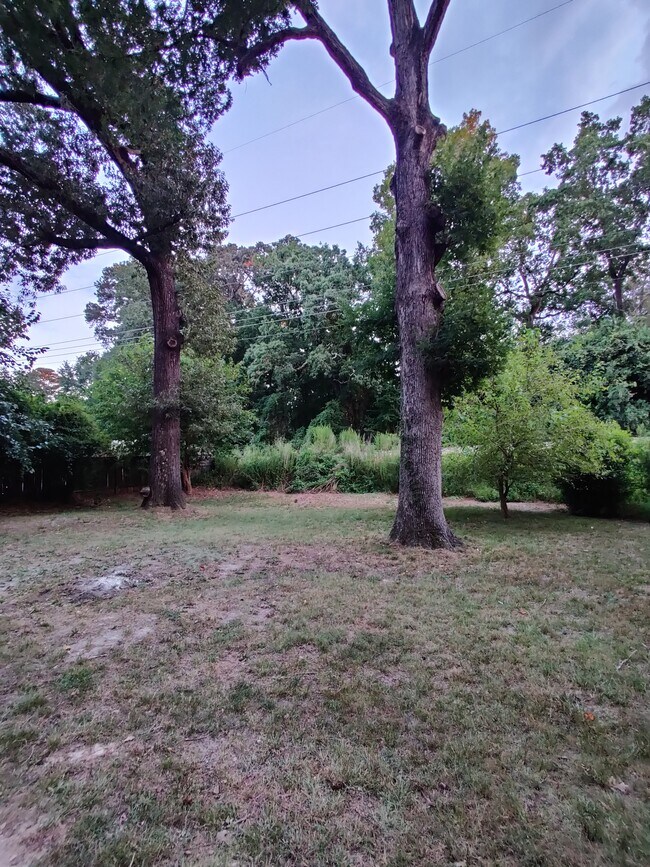 Spacious Backyard - 1200 E 14th St