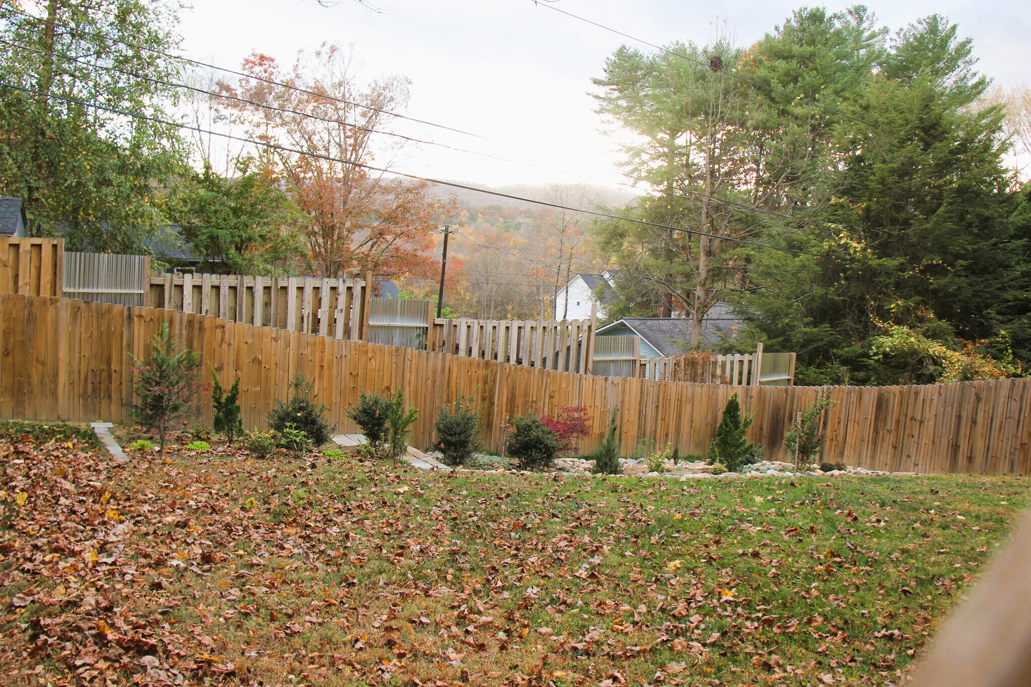 Fenced and landscaped backyard - 216 Windsor Ct