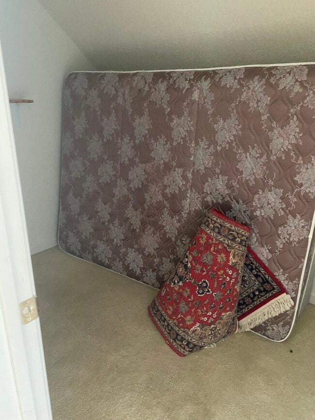 Bonus/Storage room - 135 Courtyard Ln
