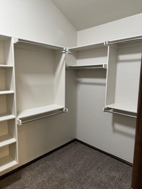 Building Photo - 605 Marlin Ct