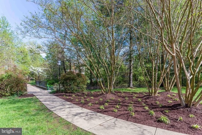 Building Photo - 6620 Potomac Ave