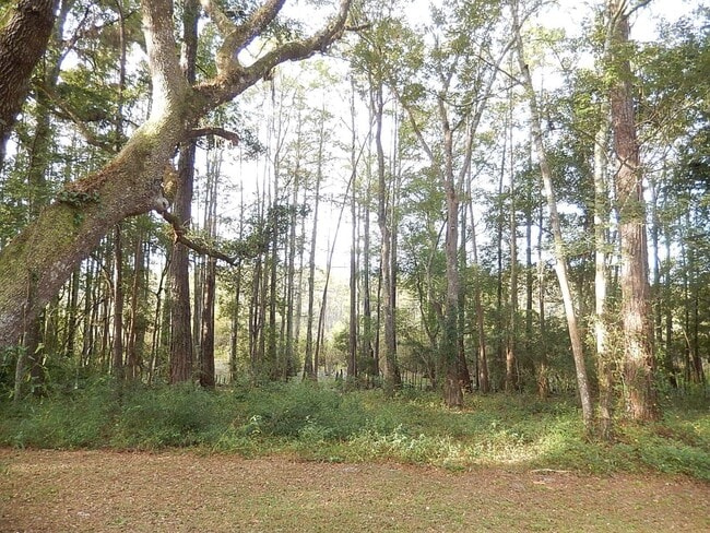 Building Photo - 4724 Cobblestone Ln