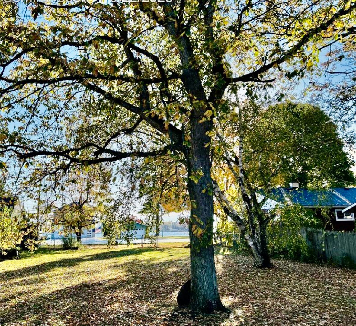 Building Photo - 1637 S Riverside Ave