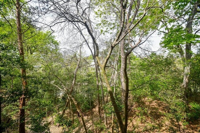 Building Photo - 6529 Bayou Glen Rd