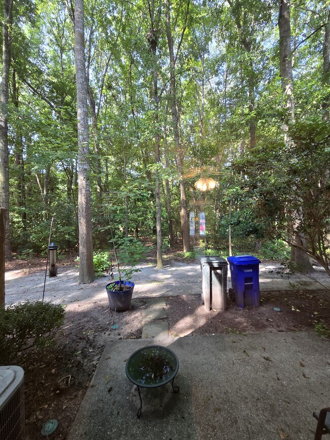 Building Photo - 5003 Double Fox Rd