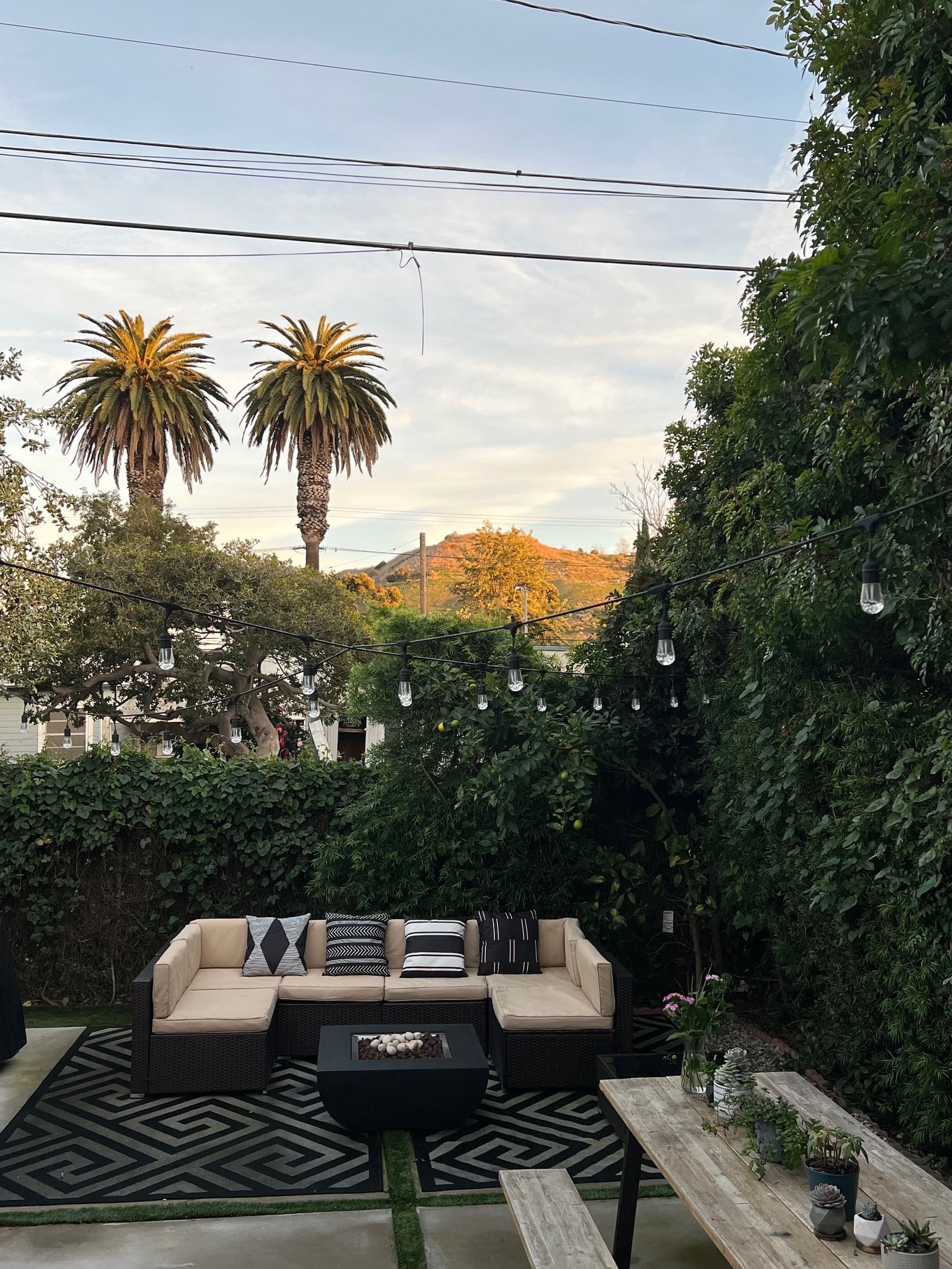 Veiew from the kitchen - 9044 Carson St