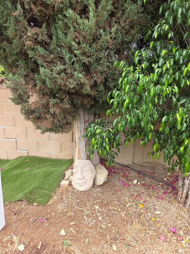 Building Photo - PRIVATE 3 bed/3 bath HOME + Office. NO OTHER UNITS ON PROPERTY.