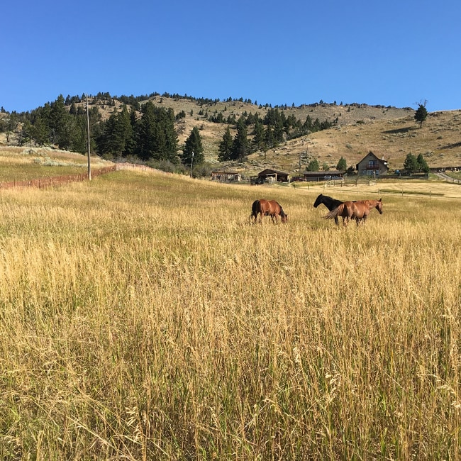 Building Photo - 77 Muir Rd