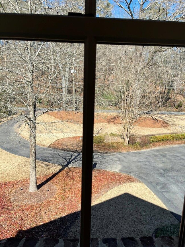 View from front window - 23 Horseleg Creek Rd SW