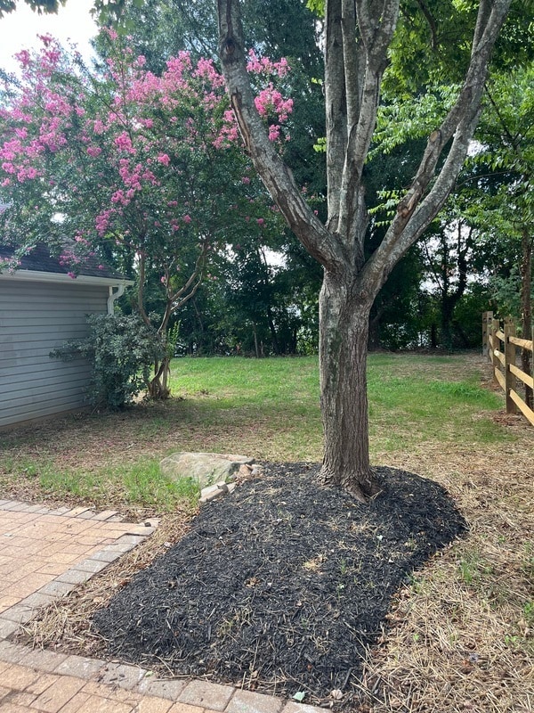 Building Photo - 11128 White Stag Dr