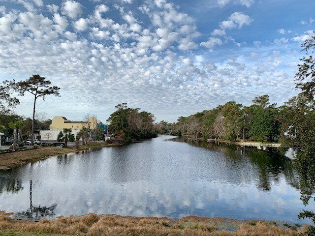 Building Photo - SPACIOUS 3 Bedroom/2.5 Bath in Brandywine. One of a kind & STEPS TO THE OCEAN. Community Pool!