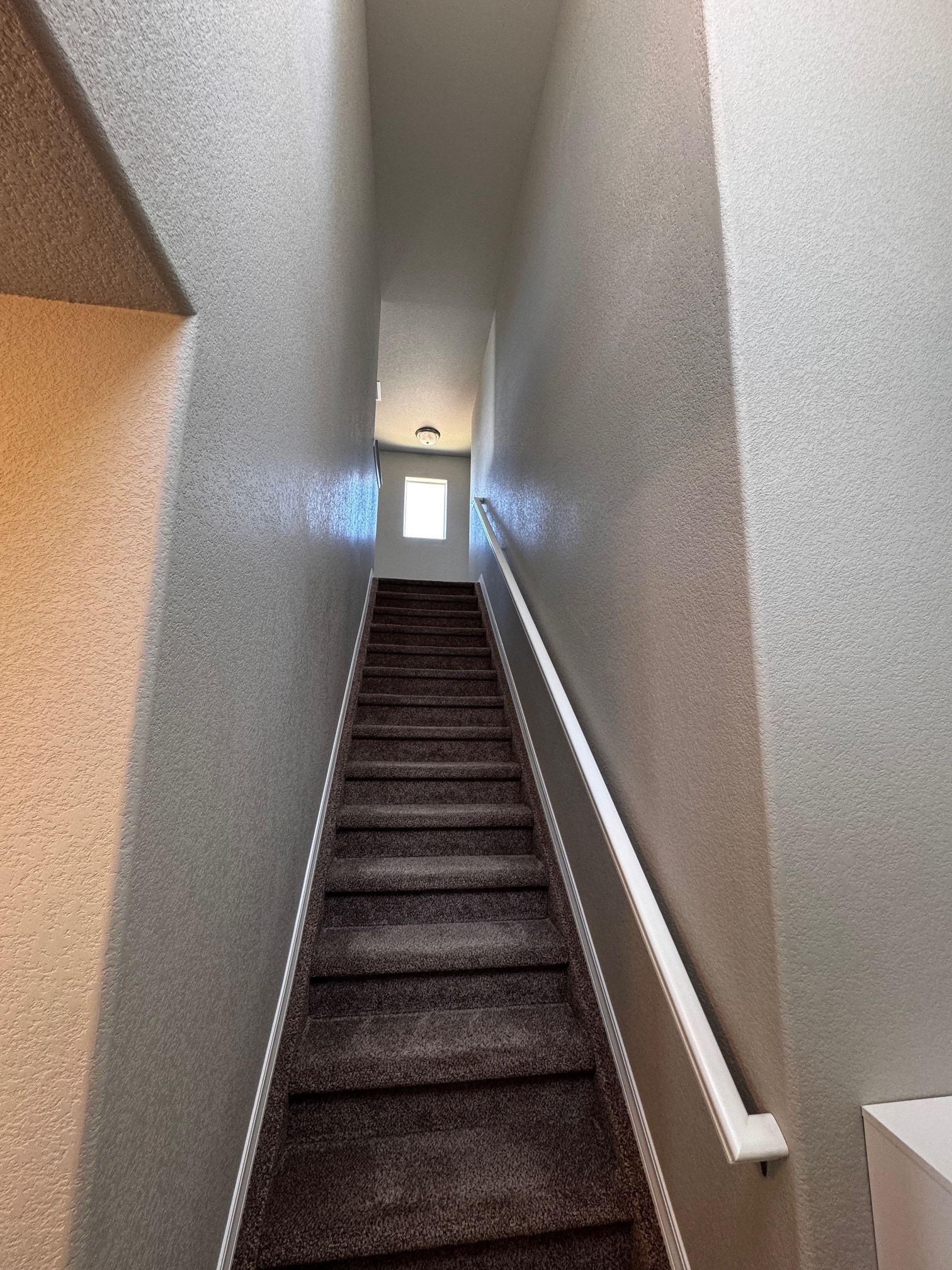 Stairs up - 10831 Rowena Wy