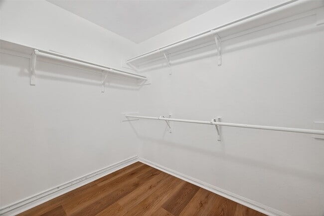 Building Photo - 2905 Fountain Brook Ct