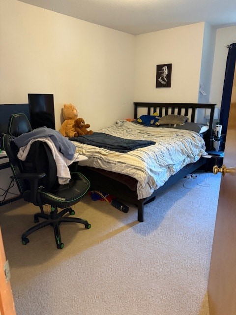 Building Photo - 2722 Coralberry Ct