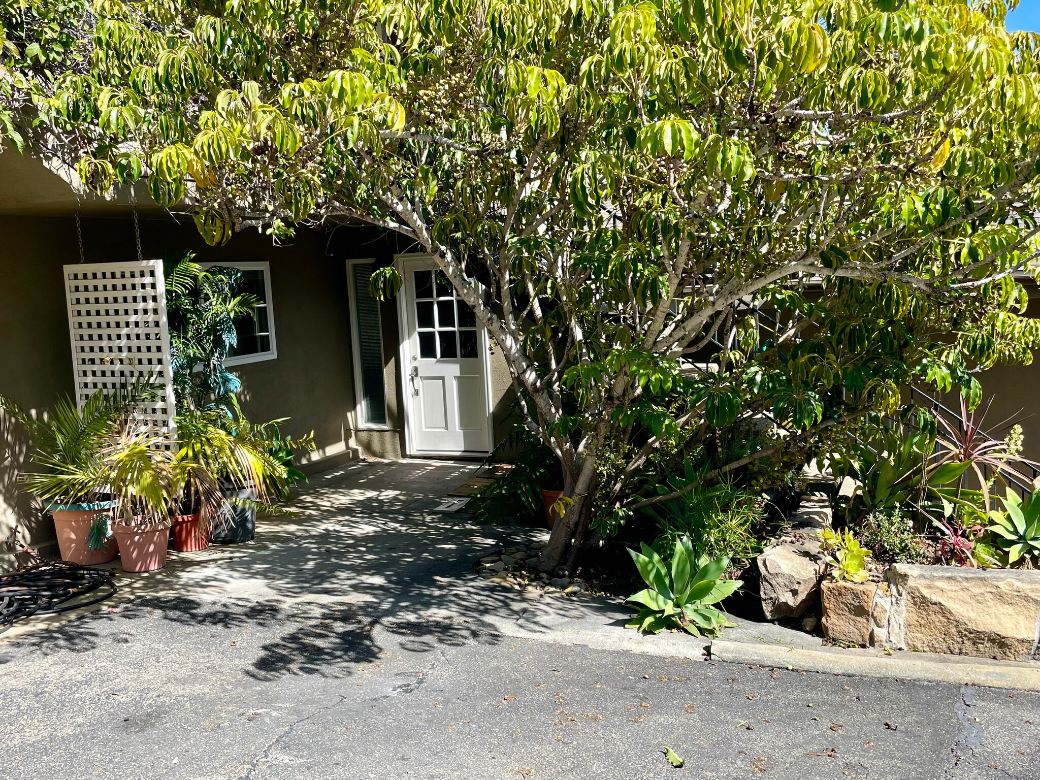 Building Photo - 521 E Arrellaga St