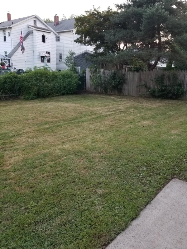 Building Photo - 15 Winthrop St