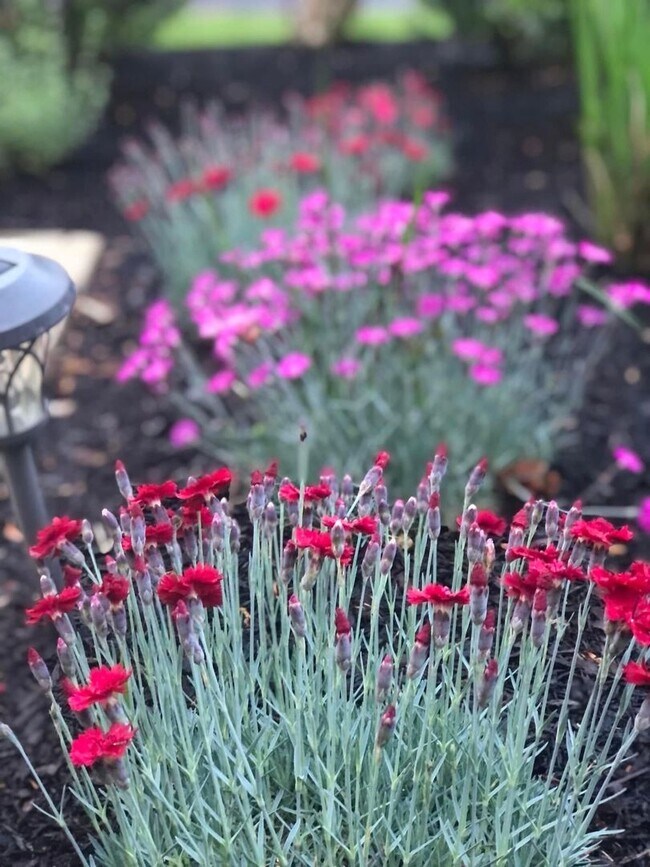 Building Photo - Heart's Desire End Unit Townhome 2700+ SqFt - Lowes Island