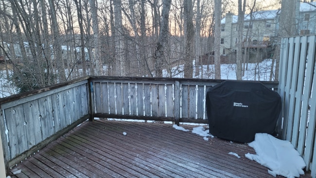 Building Photo - 11616 Summer Oak Dr