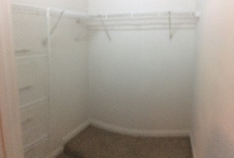 Building Photo - 973 Windsor St