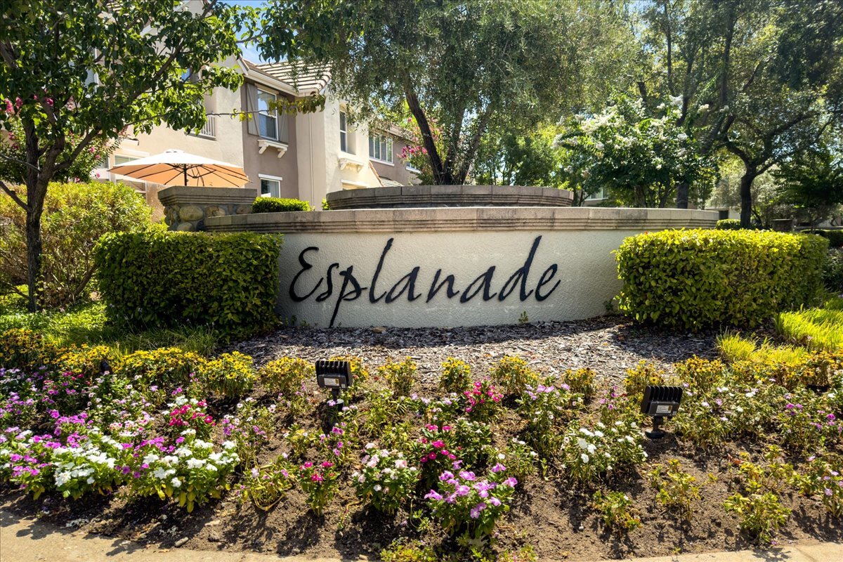 Lush Landscaping - 807 Esplanade Cir