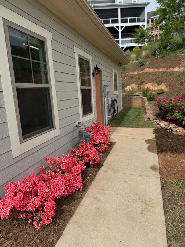 Building Photo - Black Mountain - Gardeners Delight!!