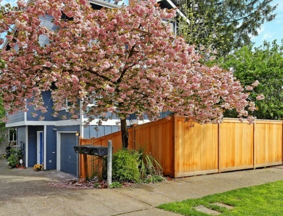 Building Photo - 9030 17th Ave SW