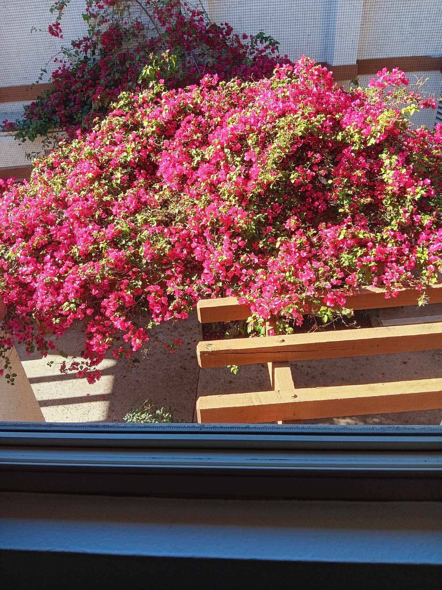 Building Photo - 6362 Rancho Mission Rd