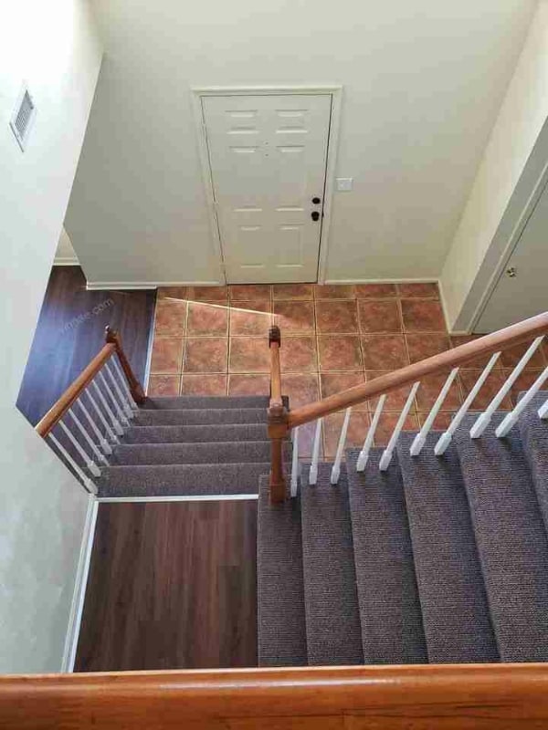 Building Photo - 805 Shadowberry Crest
